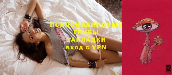 дмт Саяногорск