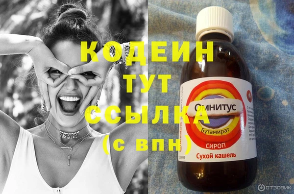 apvp Рославль