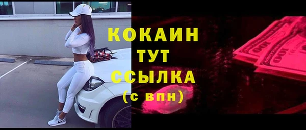 мдпв Россошь