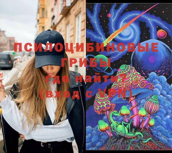 мдпв Россошь