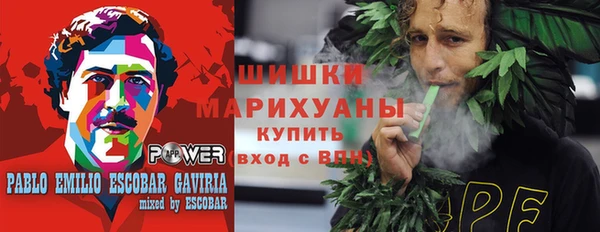 apvp Рославль