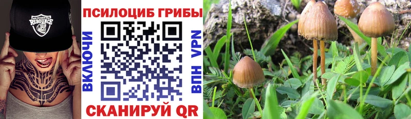 Галлюциногенные грибы мицелий  Купить закладки  Карабаш 